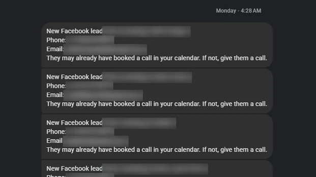 Holistic Health Hypnotherapy: new leads from her facebook ads. Names, emails and phone numbers blurred.